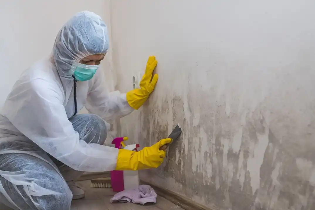 water damage restoration service Grayhawk